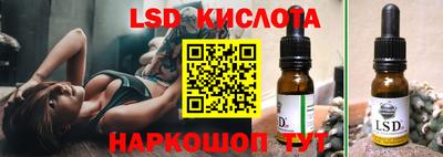 стафф Донецк