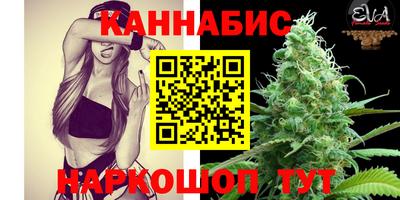 стафф Донецк