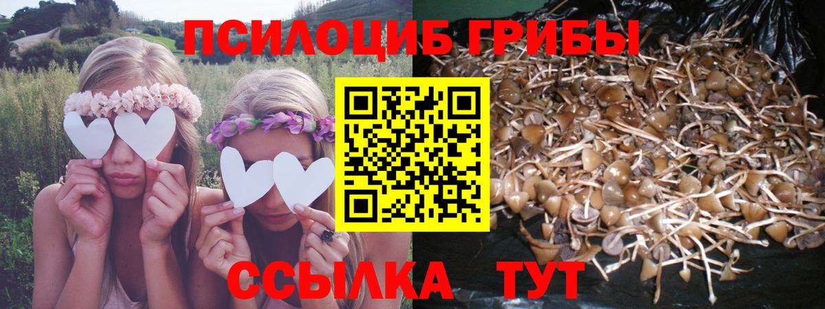 Галлюциногенные грибы прущие грибы  Вход с VPN  Малгобек  Псилоцибиновые грибы ЛСД 